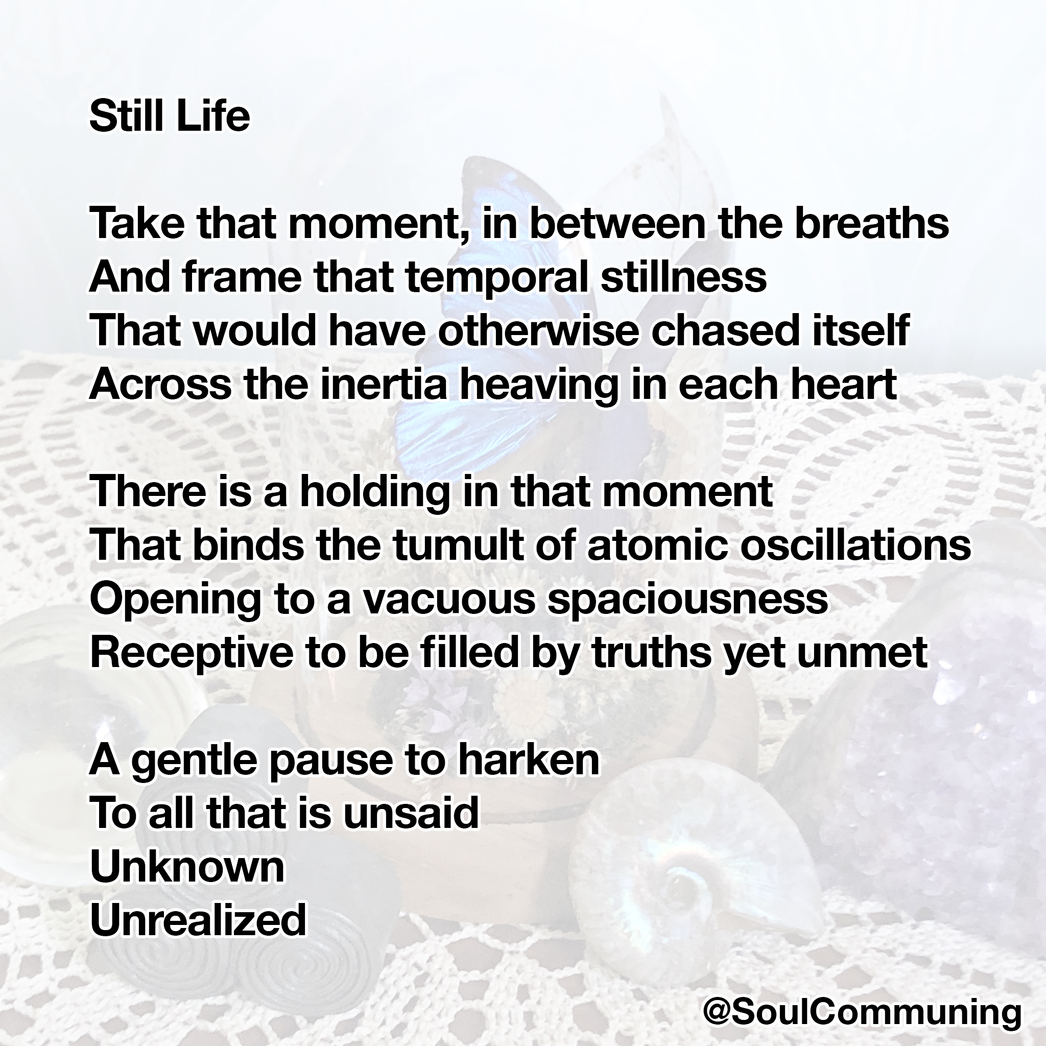 Still Life poem over photo of still life with fossils, stones, and victorian glass domed butterfly