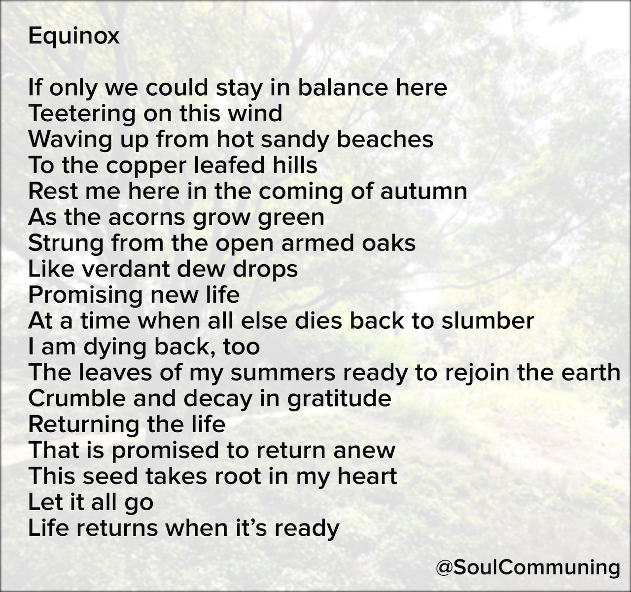 If only we could stay in balance here Teetering on this wind Waving up from hot sandy beaches To the copper leafed hills Rest me here in the coming of autumn As the acorns grow green Strung from the open armed oaks Like verdant dew drops Promising new life At a time when all else dies back to slumber I am dying back, too The leaves of my summers ready to rejoin the earth Crumble and decay in gratitude Returning the life That is promised to return anew This seed takes root in my heart Let it all go Life returns when it’s ready