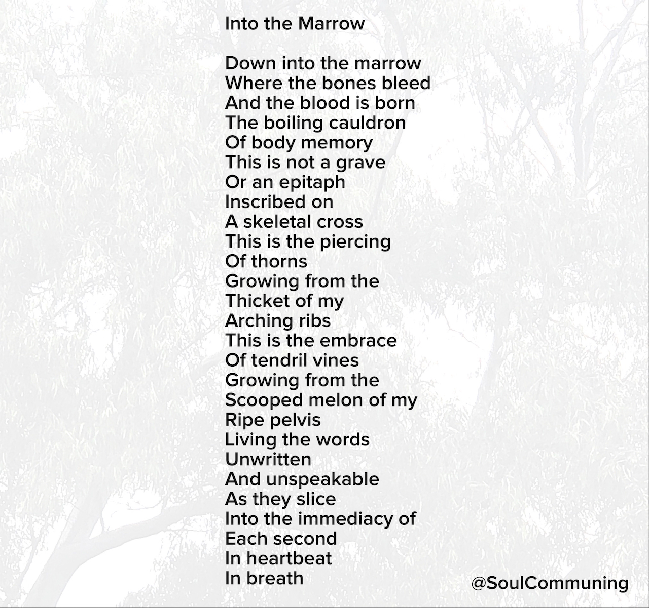 Into the Marrow Down into the marrow Where the bones bleed And the blood is born The boiling cauldron Of body memory This is not a grave Or an epitaph Inscribed on A skeletal cross This is the piercing Of thorns Growing from the Thicket of my Arching ribs This is the embrace Of tendril vines Growing from the Scooped melon of my Ripe pelvis Living the words Unwritten And unspeakable As they slice Into the immediacy of Each second In heartbeat In breath The body is born That the soul might live The stories Of penetrating And encompassing Joys and sorrows All at once In every moment This is what it is To be alive To feel