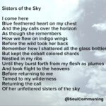 I come here Blue feathered heart on my chest And the jay calls over the horizon As though she remembers How we flew on indigo wings Before the wild took her back Remember how I shattered all the glass bottles But kept the cobalt colored shards Nestled in my ribs Until they burst forth from my flesh as plumes And took flight to the heavens Before returning to me Tamed to my wilderness Returning the call Of her unfettered sisters of the sky