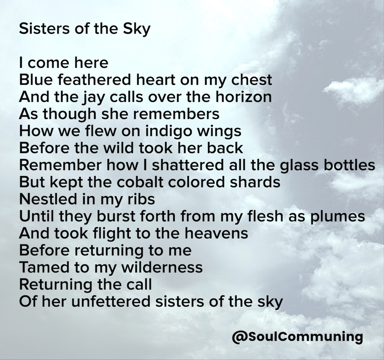 I come here Blue feathered heart on my chest And the jay calls over the horizon As though she remembers How we flew on indigo wings Before the wild took her back Remember how I shattered all the glass bottles But kept the cobalt colored shards Nestled in my ribs Until they burst forth from my flesh as plumes And took flight to the heavens Before returning to me Tamed to my wilderness Returning the call Of her unfettered sisters of the sky